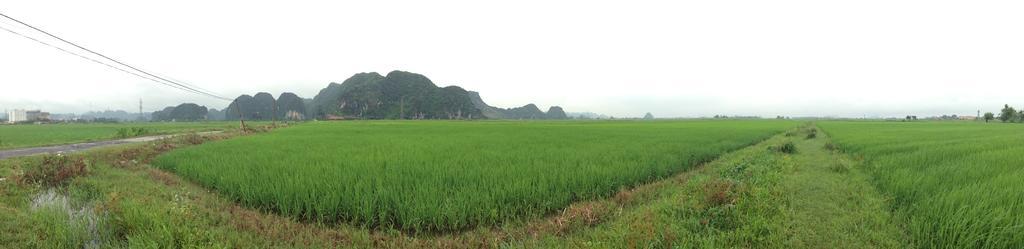 Tam Coc Homestay Ninh Binh Exterior photo