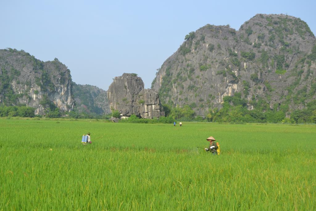 Tam Coc Homestay Ninh Binh Exterior photo